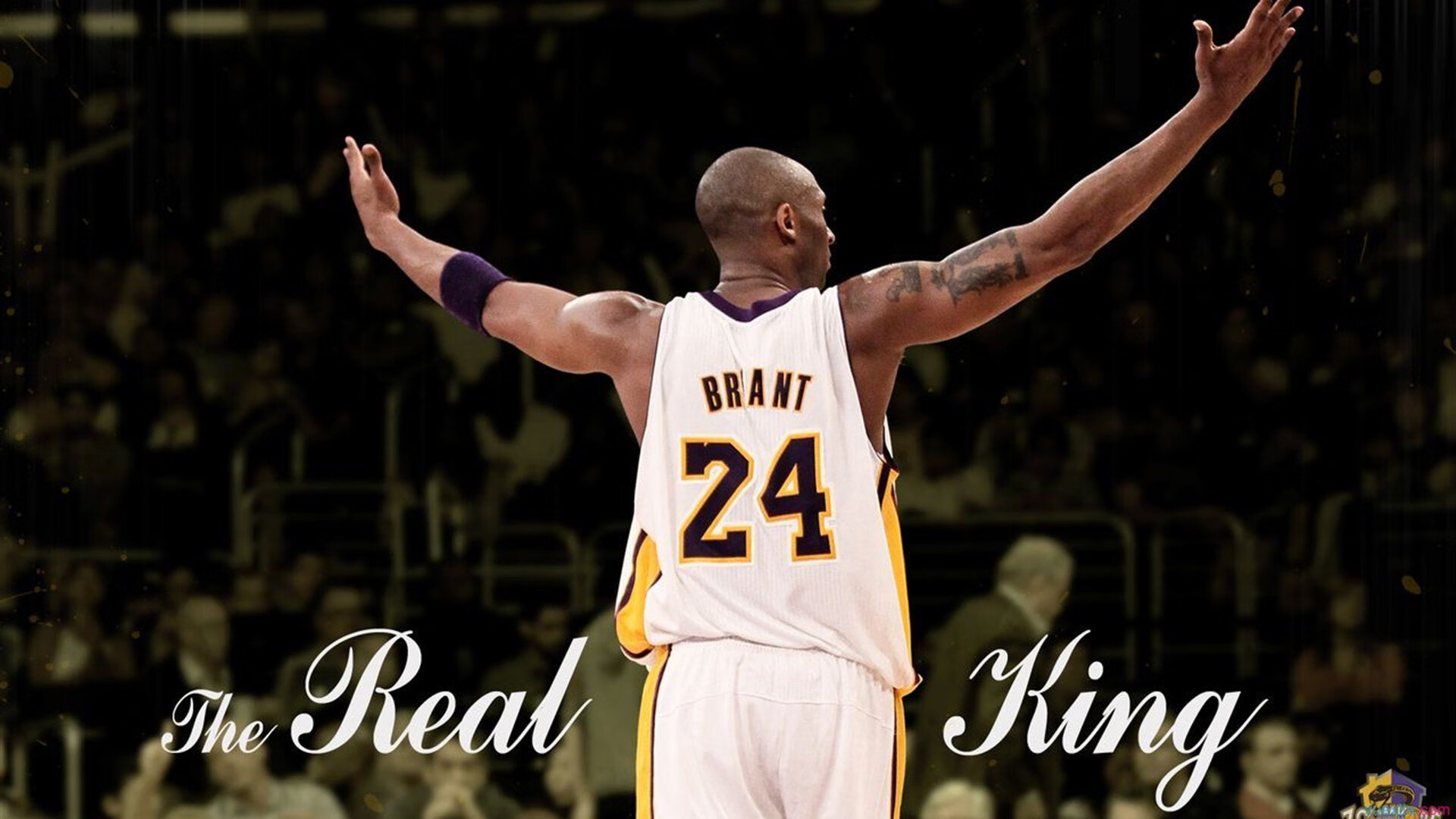 乐鱼电竞在线平台-季后赛形势逐渐明朗，谁能闯过首轮？，季后赛n